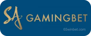 Gaming Bet - Phương thức thanh toán an toàn